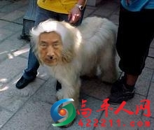 小泉