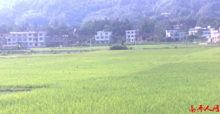 20110723442_副本.jpg