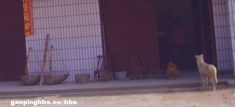 090430145079e325cef00d68ab.jpg