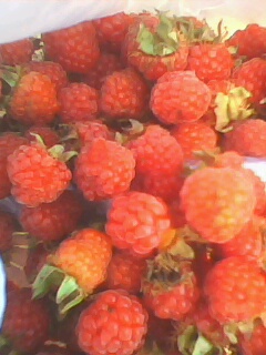 IMG0107A.jpg