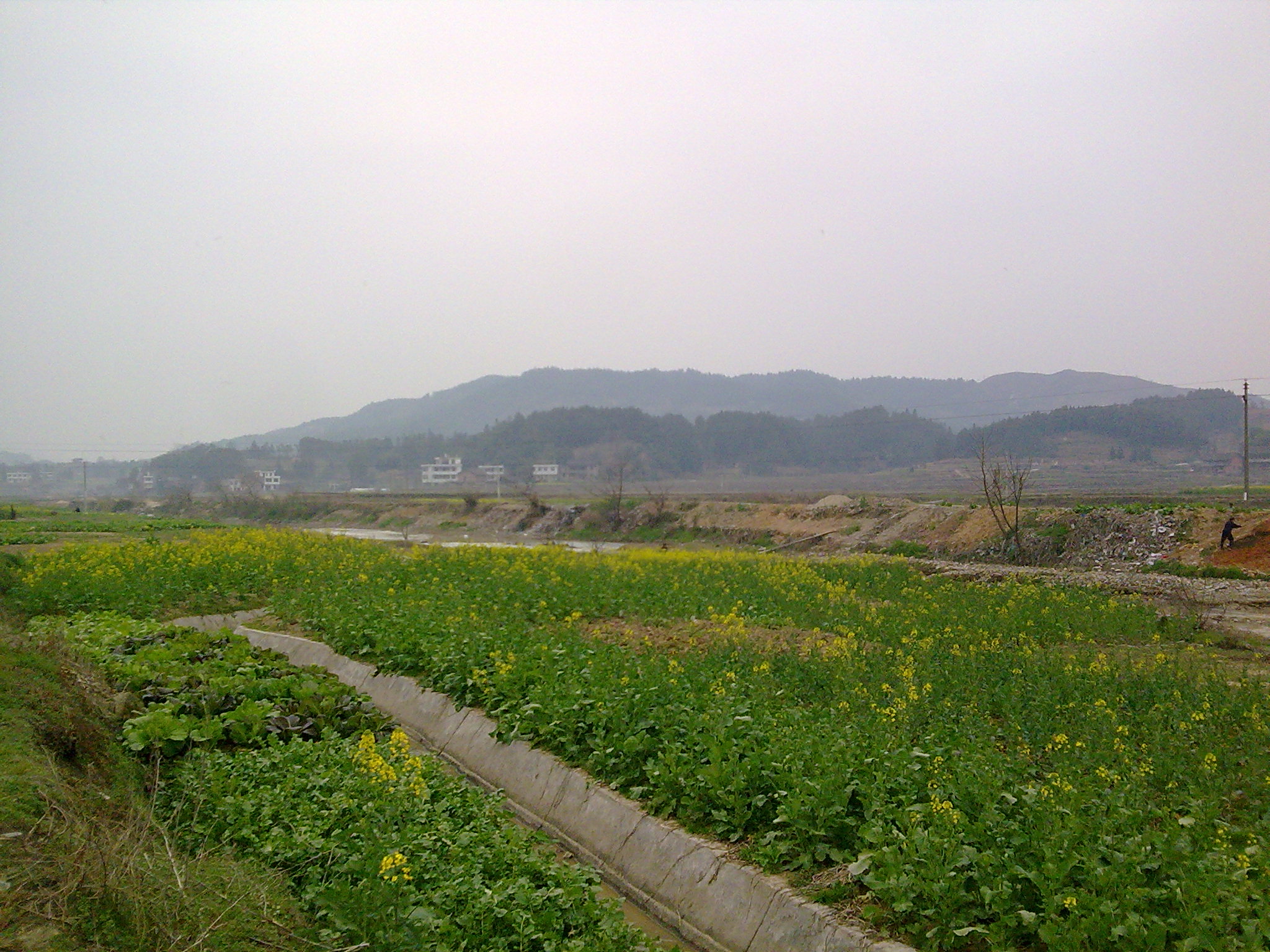 图像045.jpg