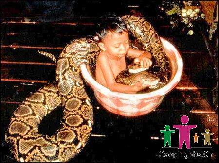 要能处乱不惊