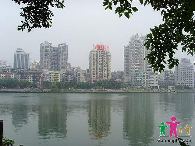 #95245.jpg