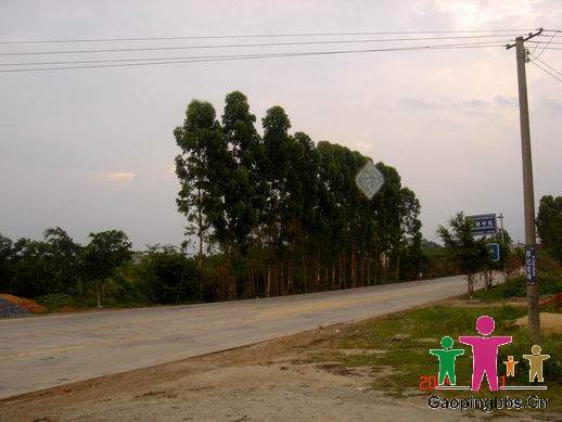 路 DSC00015.jpg