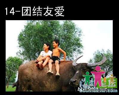 友爱_1~1.JPG