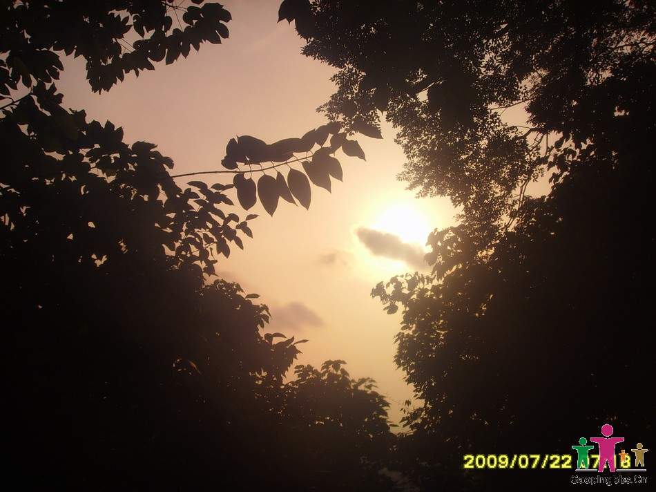 SSL24343.JPG