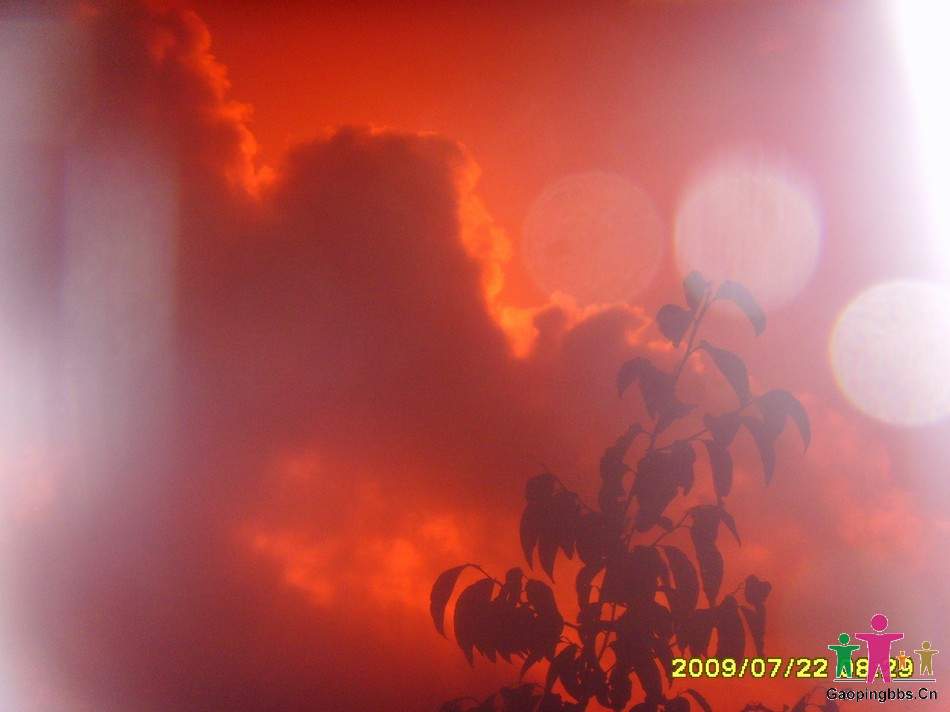 SSL24388.JPG