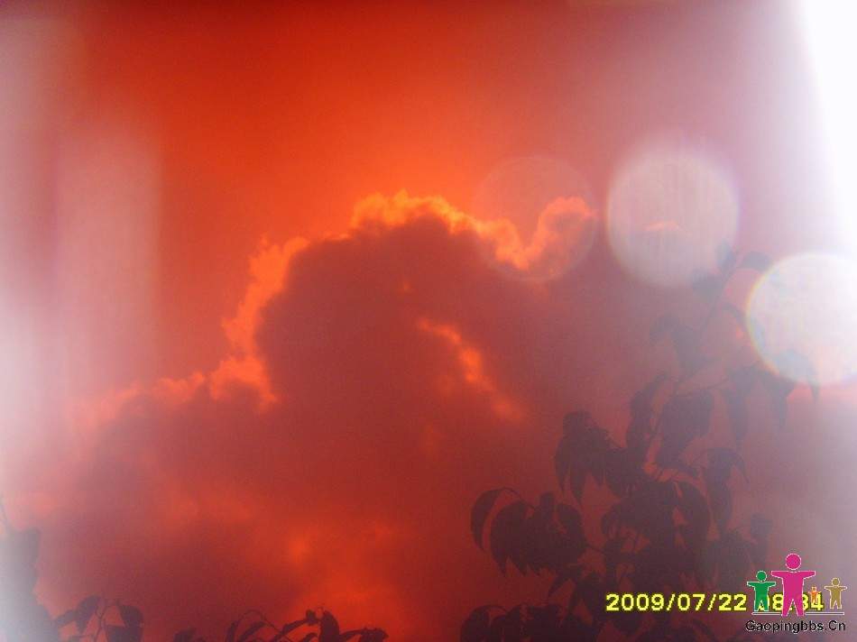 SSL24395.JPG