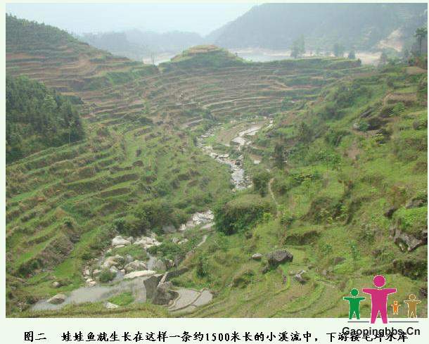 生长环境.jpg