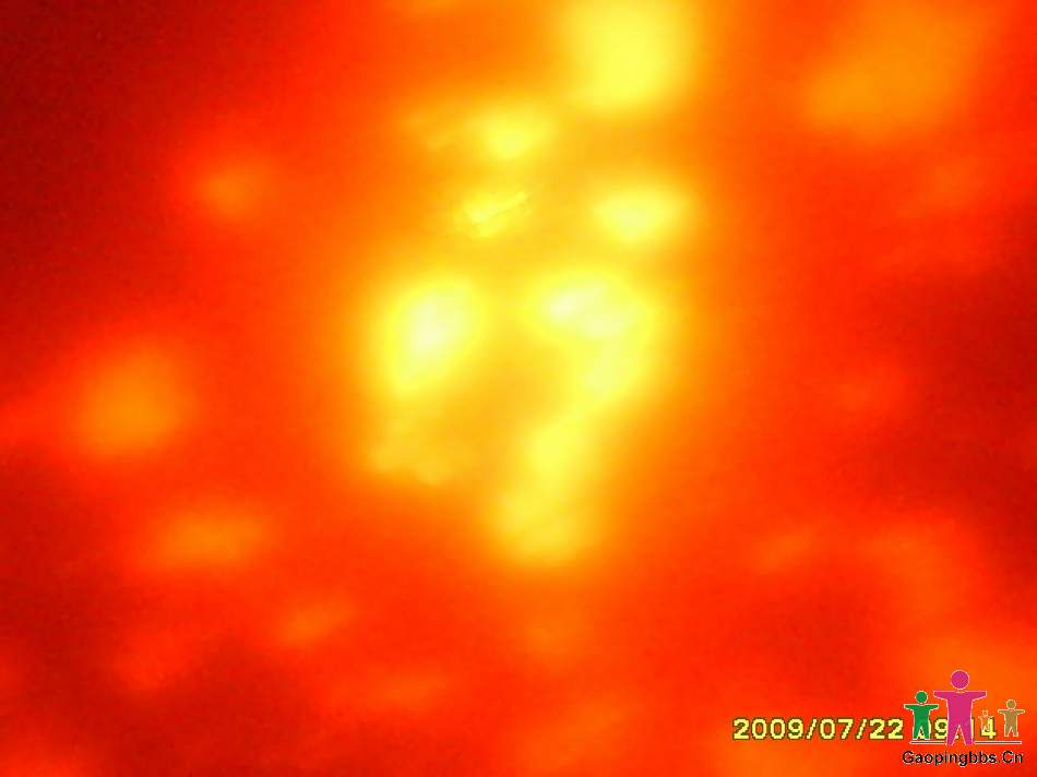 SSL24483.JPG