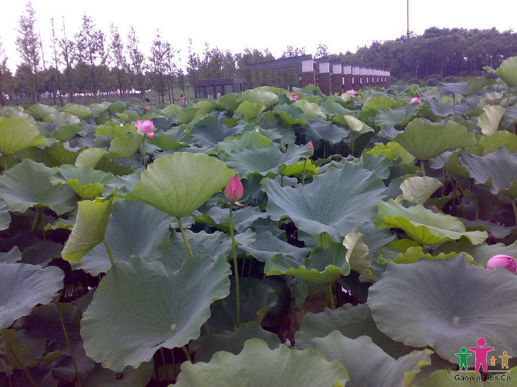 20090802022_缩小大小.jpg
