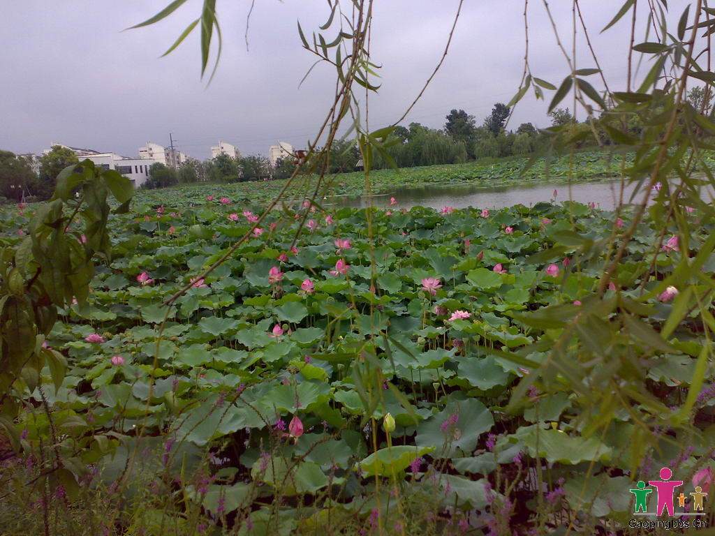 20090802038_缩小大小.jpg