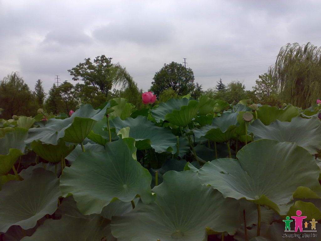 20090802042_缩小大小.jpg