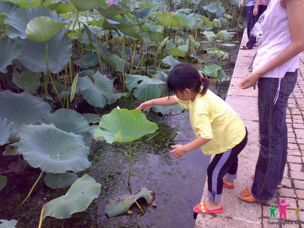 20090802043_缩小大小.jpg