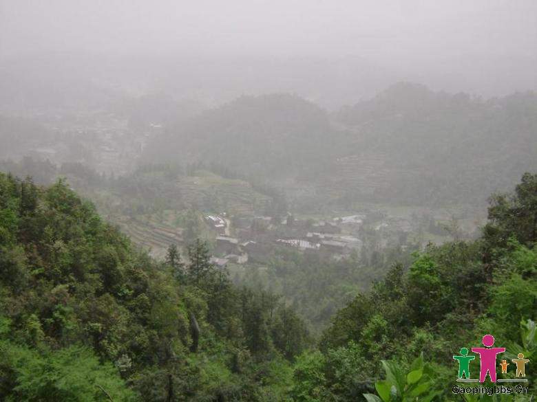 20090809220904_340_1361983_3.jpg