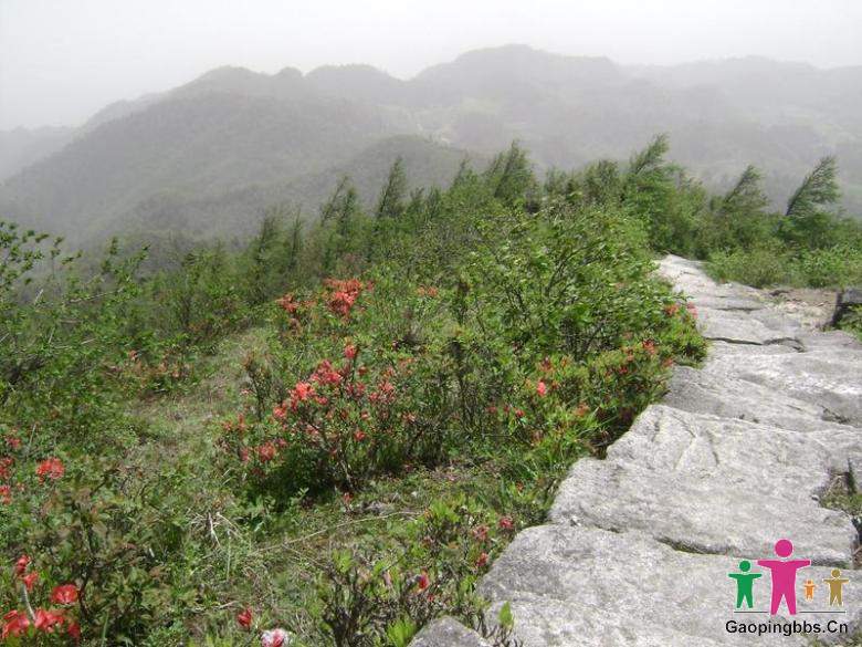 20090809220904_340_1361983_4.jpg