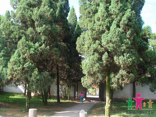 DSC01902.JPG