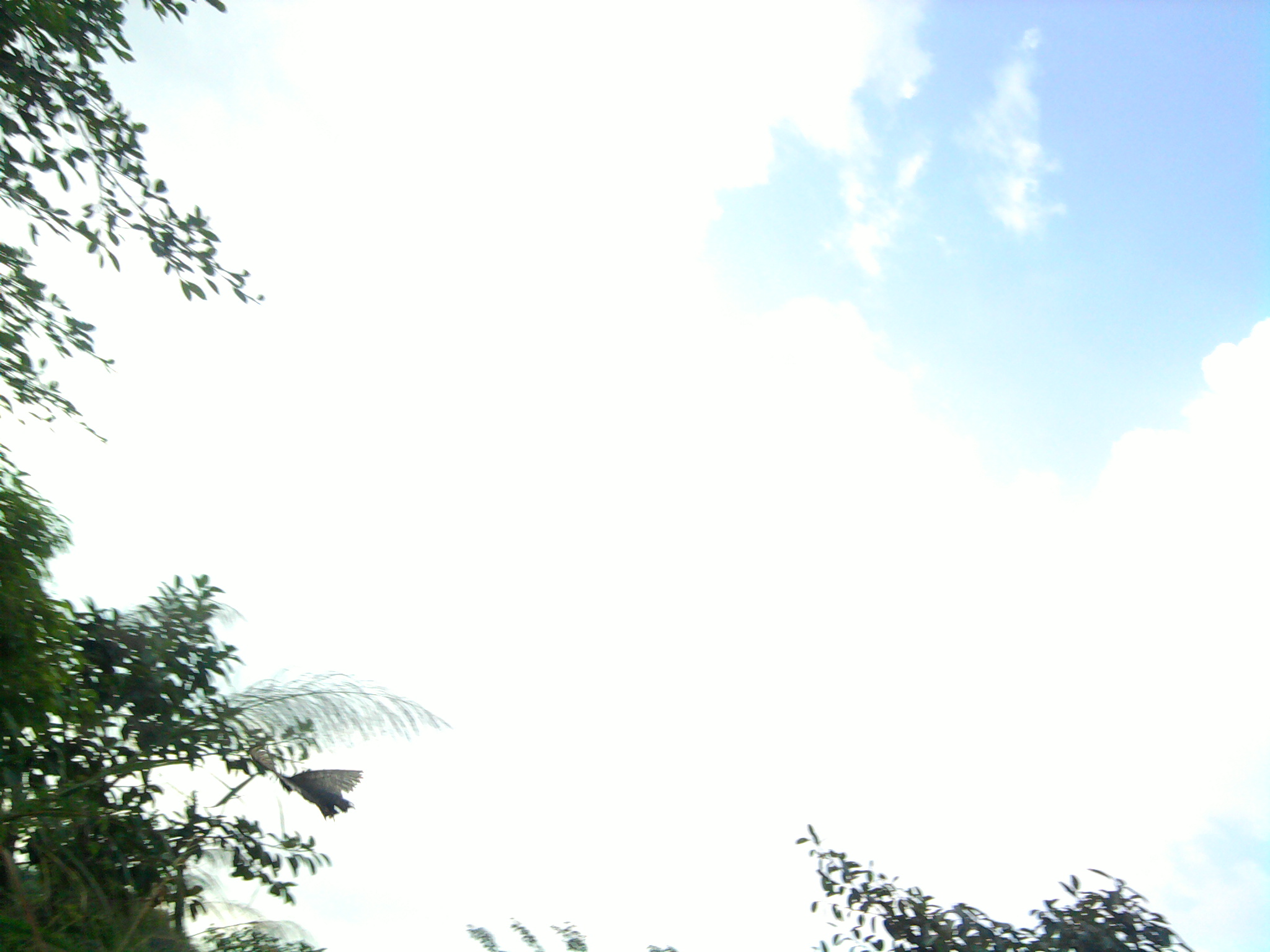 照片0127.jpg