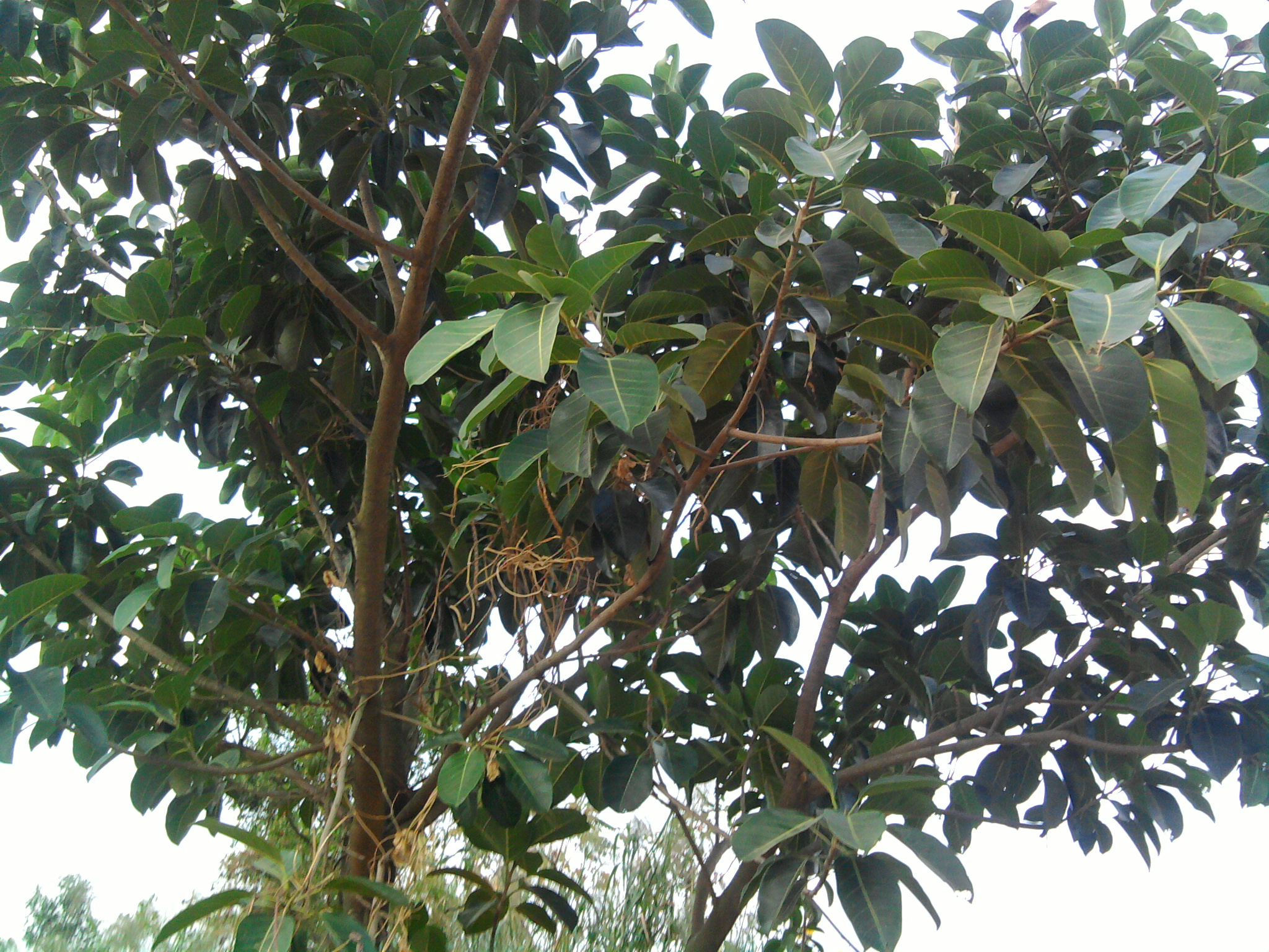 照片0125.jpg