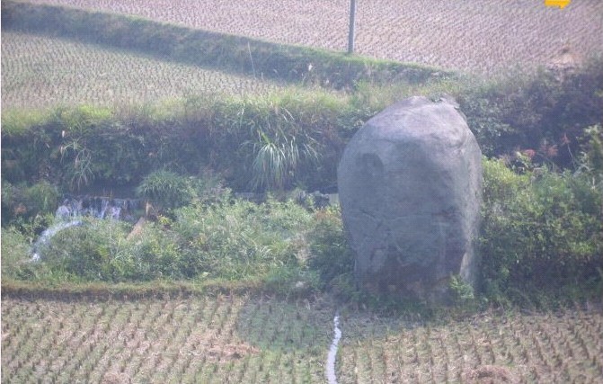 冬瓜两.jpg