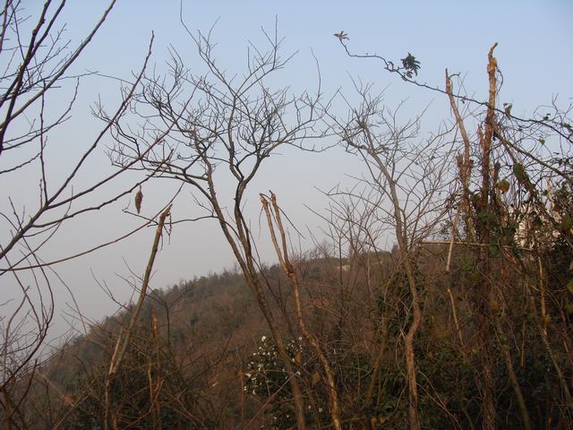 DSC03052.JPG
