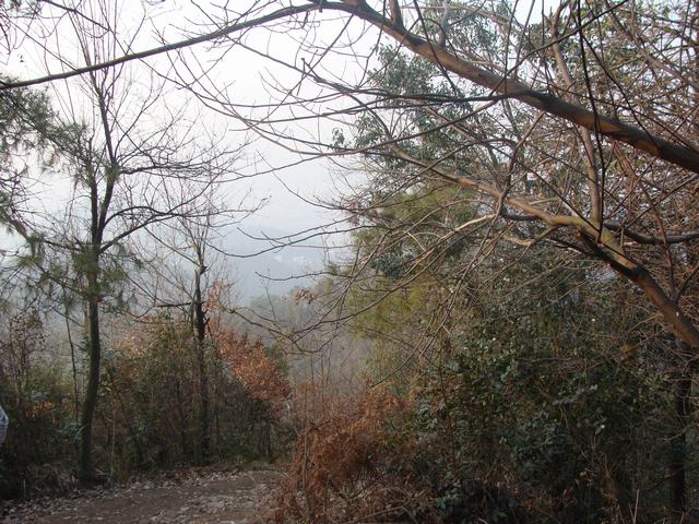DSC03065.JPG