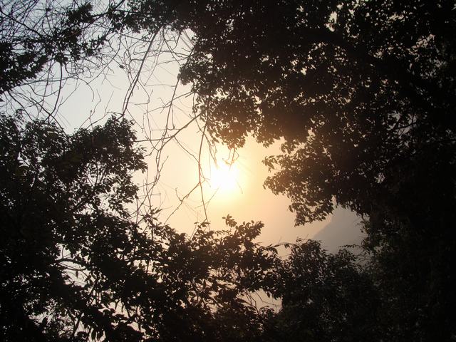 DSC03078.JPG