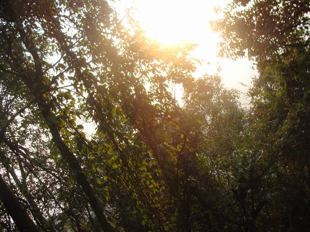 DSC03080.JPG