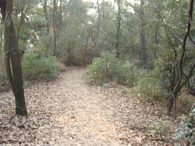 DSC03076.JPG