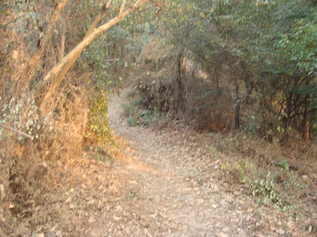 DSC03085.JPG