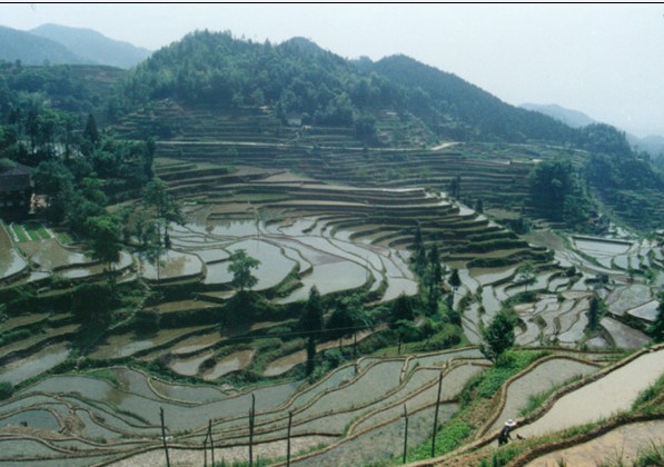 陆2.jpg