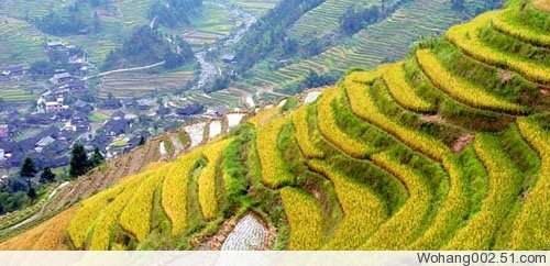 陆8.jpg