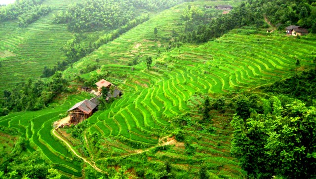 陆11.jpg