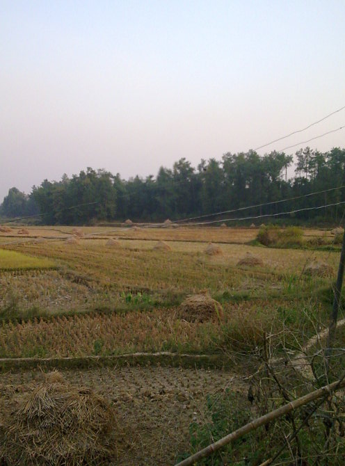 旋转 1001140436bcd4906b48a78b30.jpg