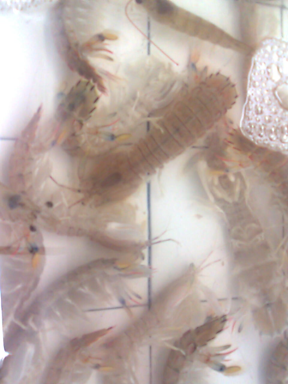 照片 068.jpg