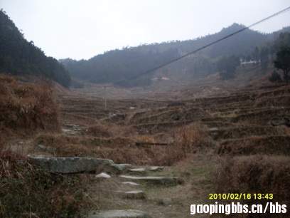罗洪乡—杉木岭1.JPG