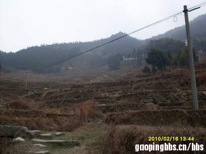 罗洪乡—杉木岭4.JPG
