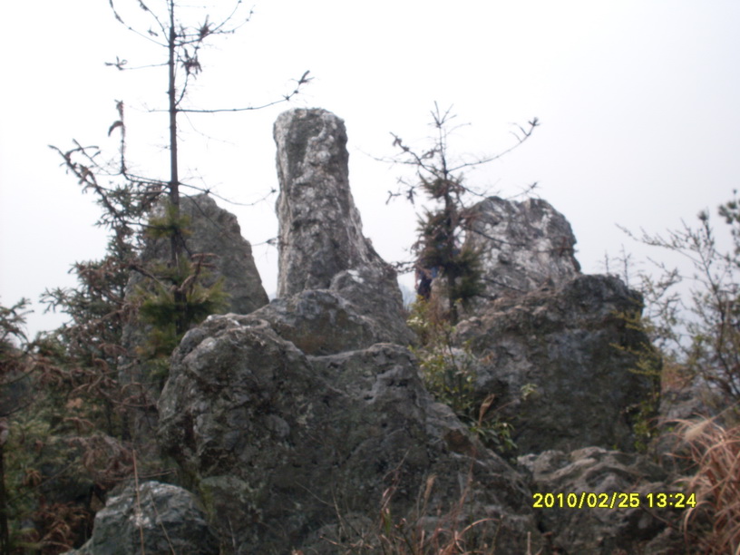 金凤山 (3).JPG