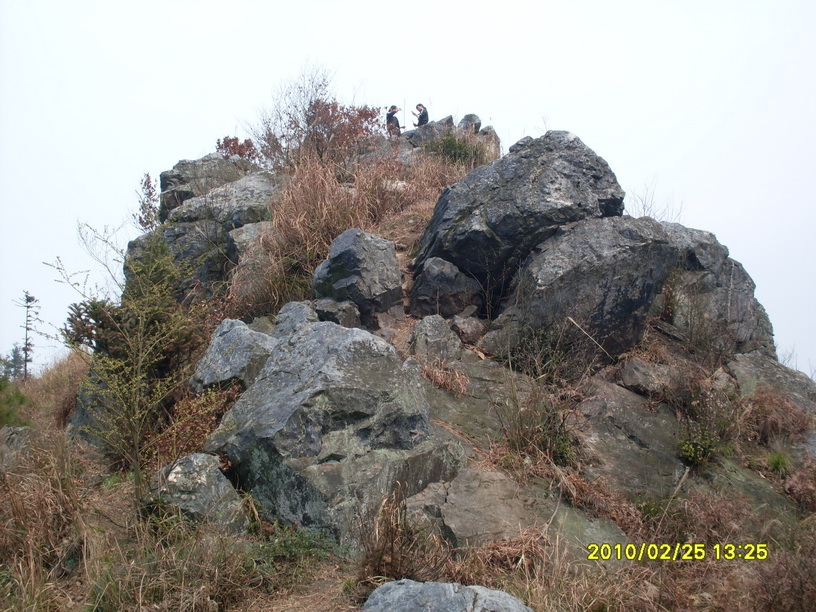 金凤山 (6).JPG