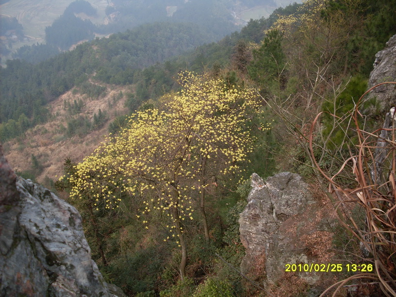 金凤山 (7).JPG