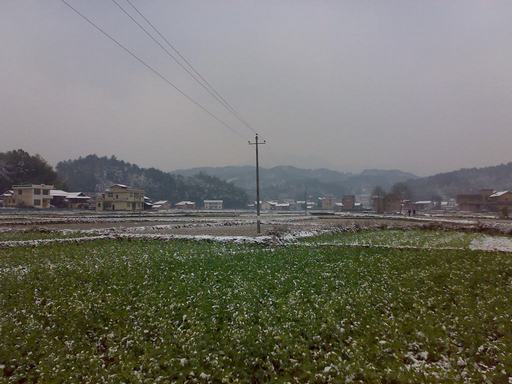 20100309042.jpg
