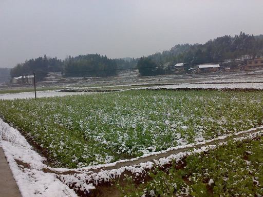 20100309045.jpg