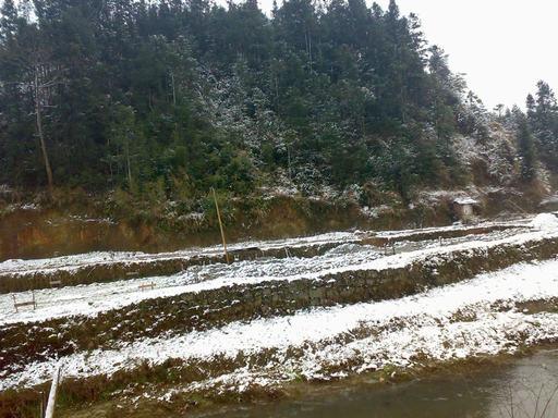 20100309044.jpg