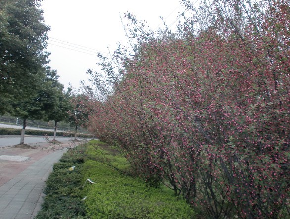 未命名.jpg
