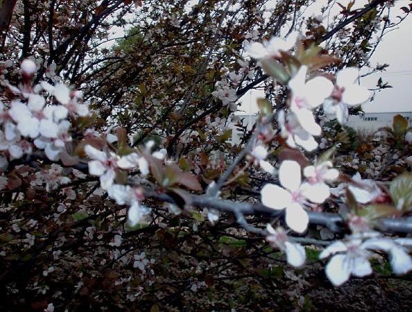 未命名.jpg