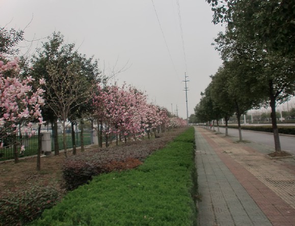 未命名.jpg