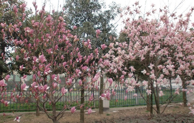 未命名.jpg