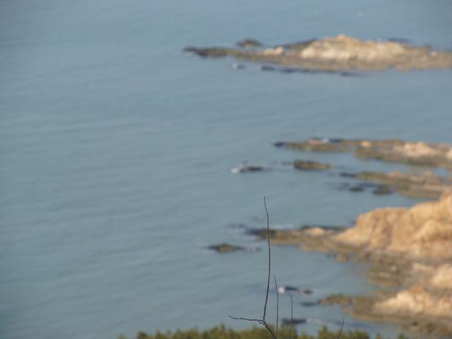 那海，真醉