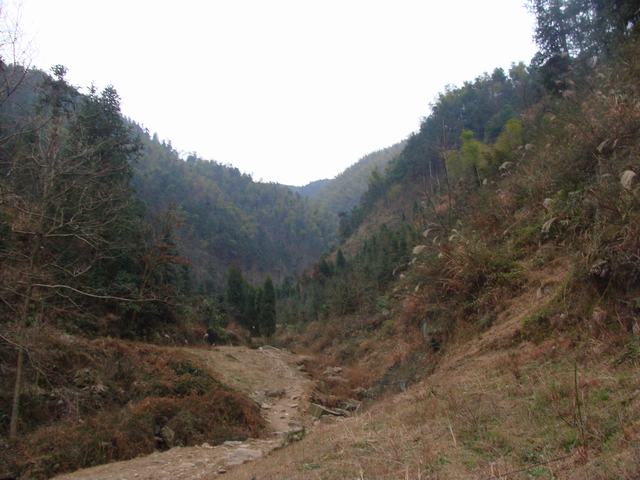 通往山上的路