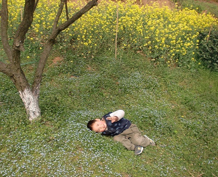 未命名.jpg
